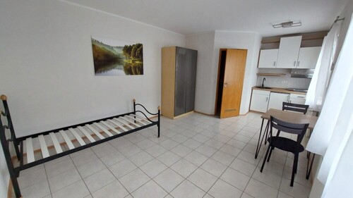 Trier-Zewen, teilmöbiliertes 1-Zimmer-Apartment mit EBK u. Balkonmitbenutzung